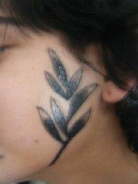 If you have an Album Leaf tattoo you're gonna wanna read this Alissa